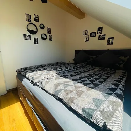 Urlaub Im Fraenkischen Seenland Appartement